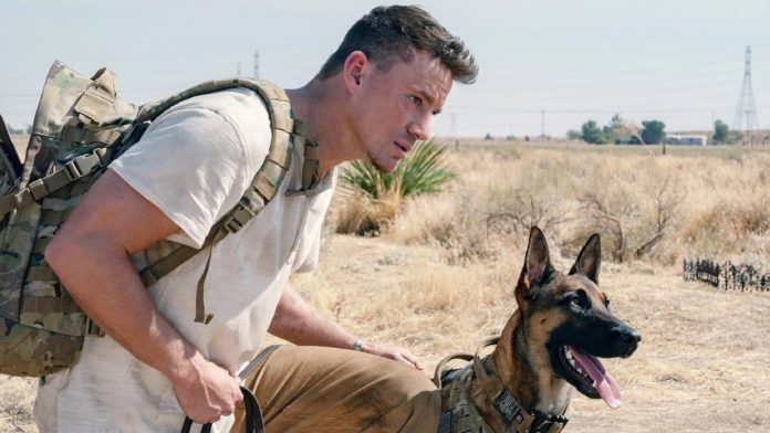 Channing Tatum in una scena del film Io e Lulù